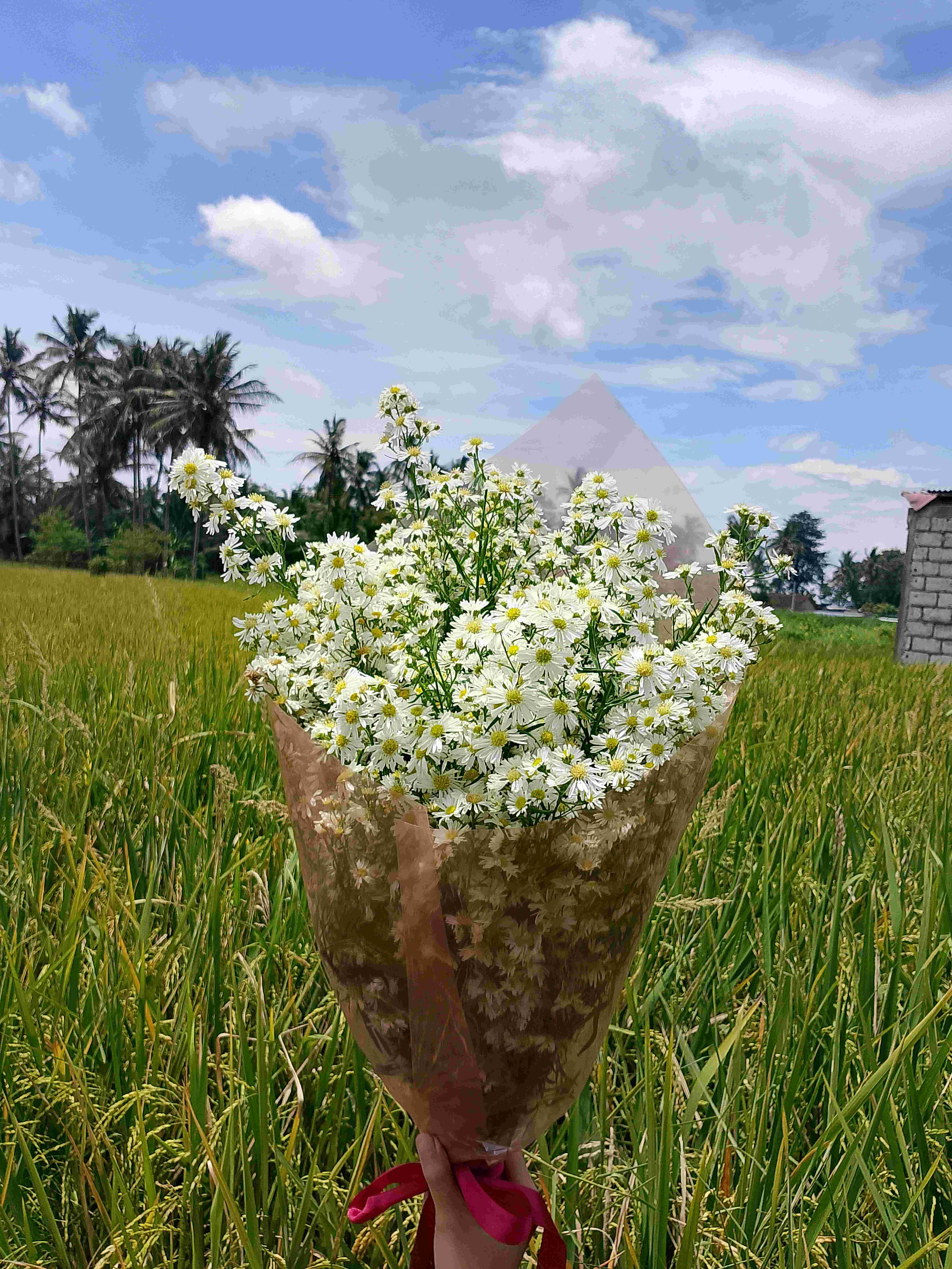 Buket Fresh Flower + Free Gantungan Kunci 